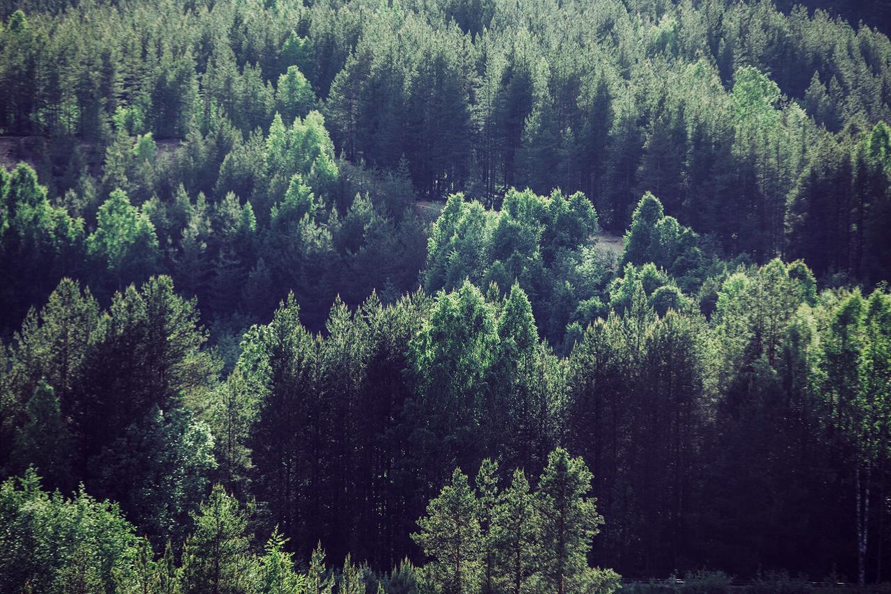 Vuokatti Sport Chalets ภายนอก รูปภาพ