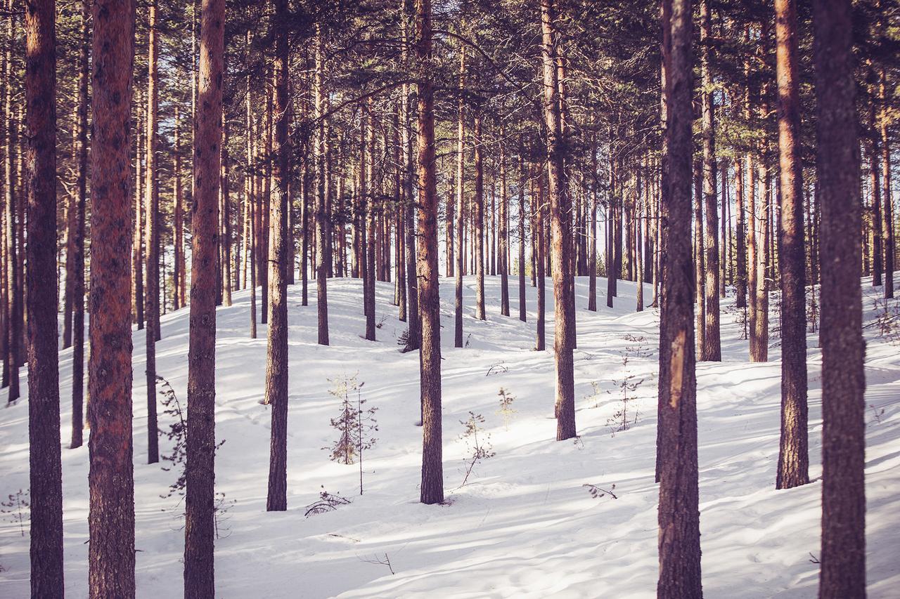 Vuokatti Sport Chalets ภายนอก รูปภาพ